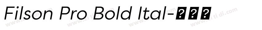 Filson Pro Bold Ital字体转换